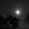 IMG_8980