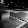 IMG_0487