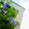 IMG_1601