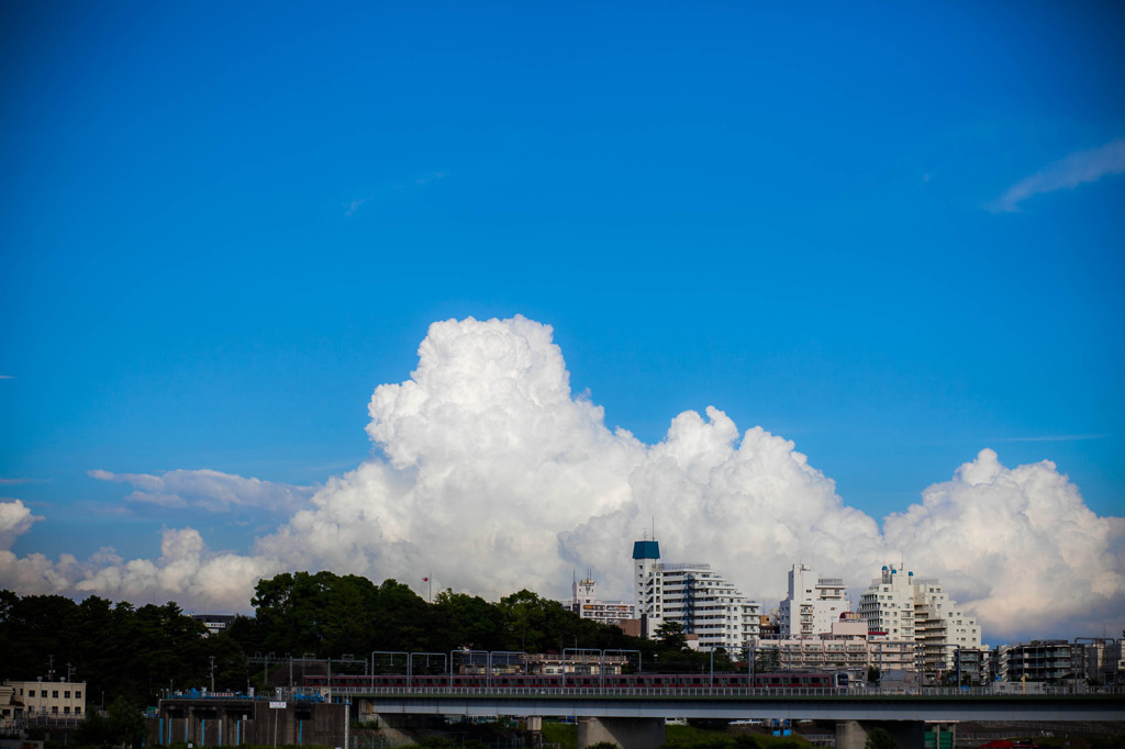 青