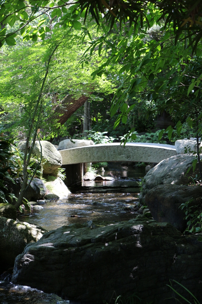 庭園内の小川