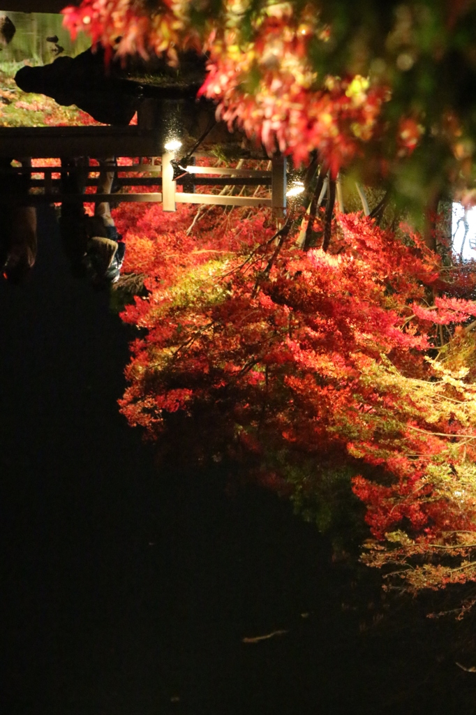 水面に映る紅葉