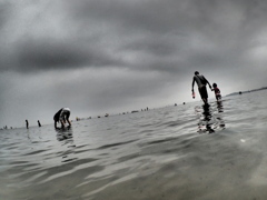 Clam digging. (1)