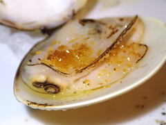 MACRO＋LED (1)