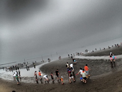 Clam digging. (3)