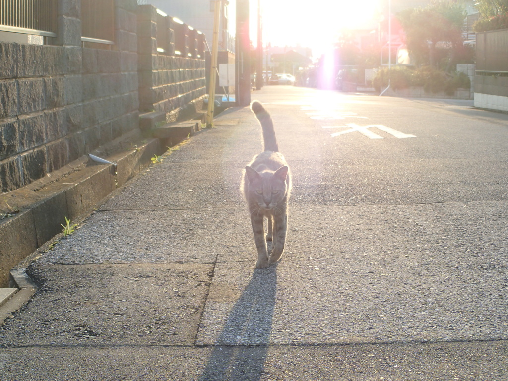 Dignified.
