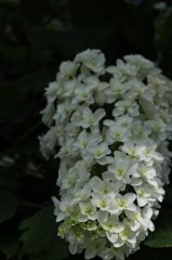 2012.6.24 熊谷市　能護寺