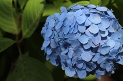 2012.6.24 熊谷市　能護寺