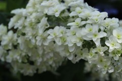 2012.6.24 熊谷市　能護寺