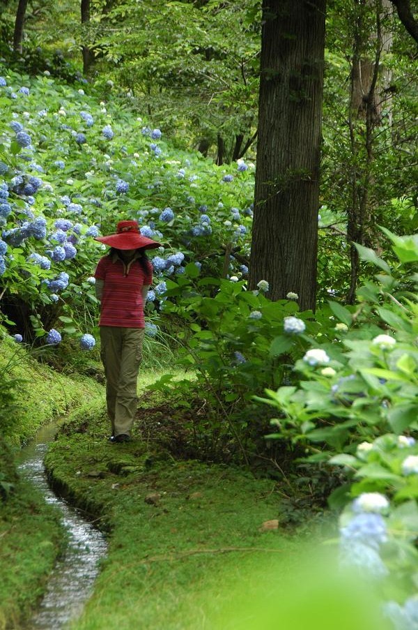 野道を散策