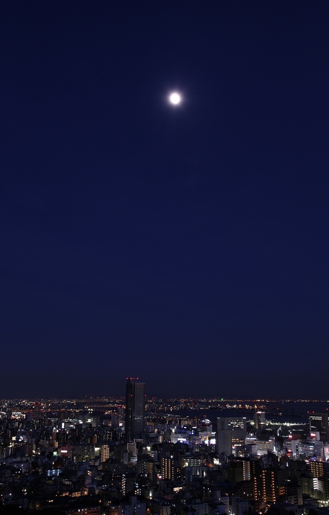 神戸　（ﾋﾞｰﾅｽﾌﾞﾘｯｼﾞ）-1
