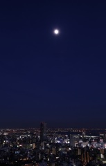 神戸　（ﾋﾞｰﾅｽﾌﾞﾘｯｼﾞ）-1