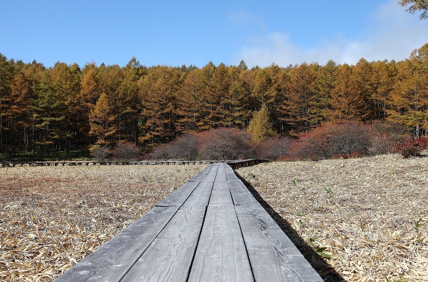 湯の◎高原