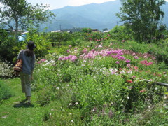 「ＧＡＲＤＥＮ　ＳＯＩＬ」というお店　