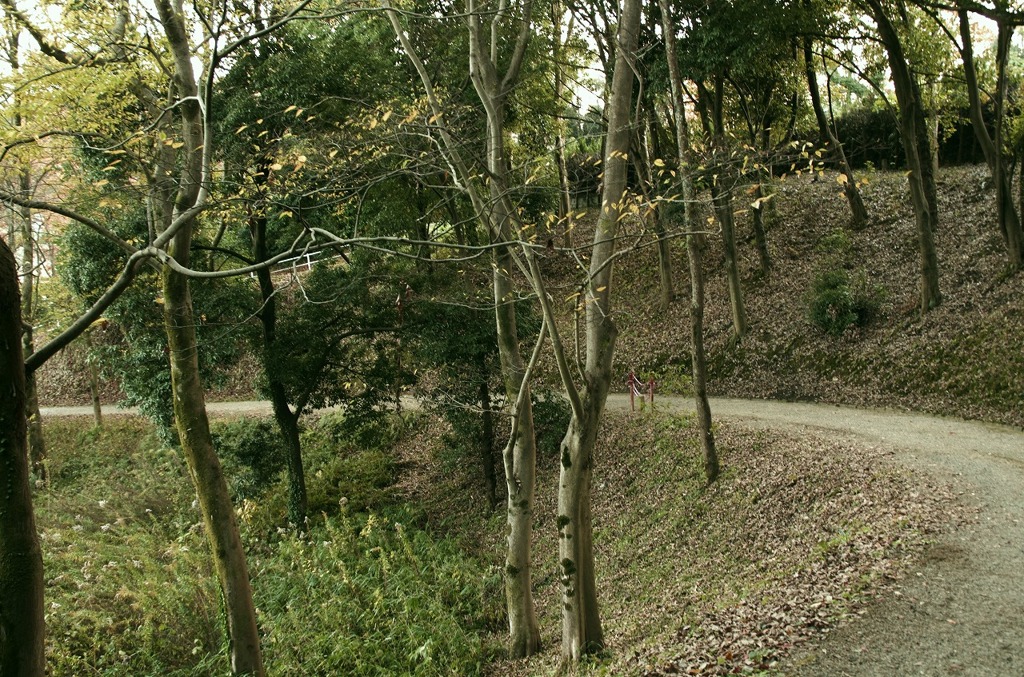 明日香村