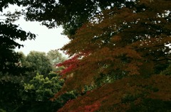 明日香村