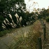 明日香村