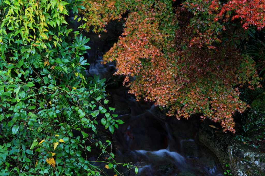 晩秋の龍蔵寺2