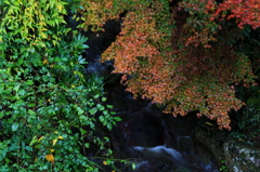 晩秋の龍蔵寺2