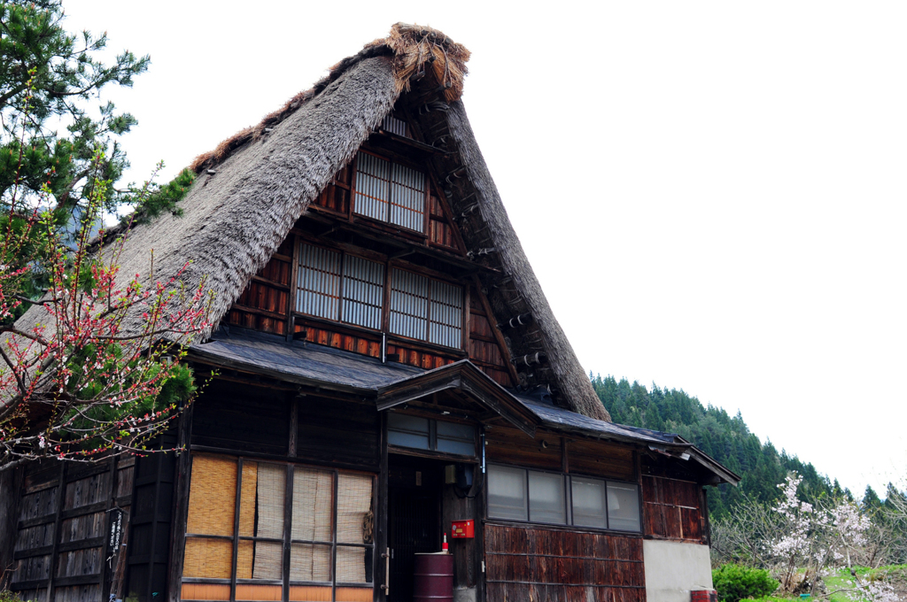 白川郷