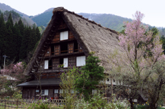 白川郷