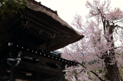 白川郷