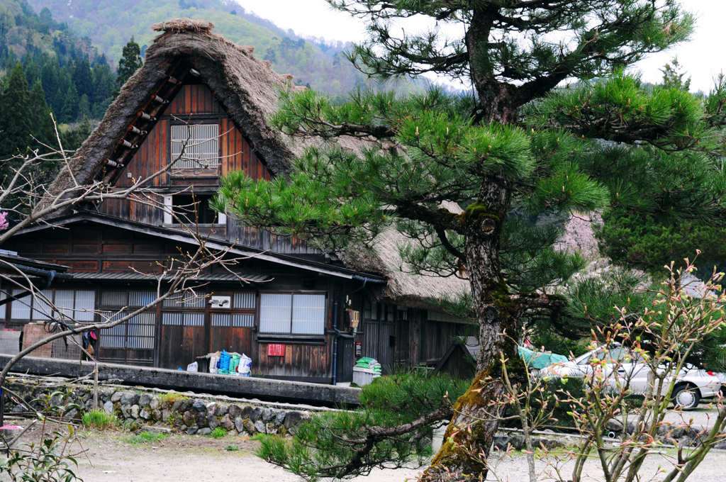 白川郷