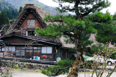 白川郷