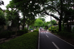 初夏の多摩湖自転車道