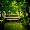 京都散歩
