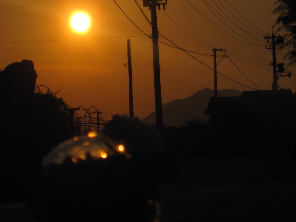 夕日とビン