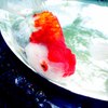 金魚 02