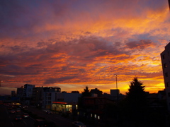 20120620_44