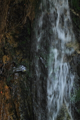 山の清水