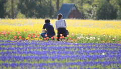 花畑の二人