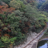 秋の深まり