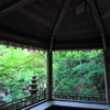 新緑の窓