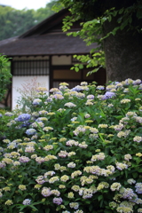 梅雨の清風館