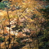 山の煌めき