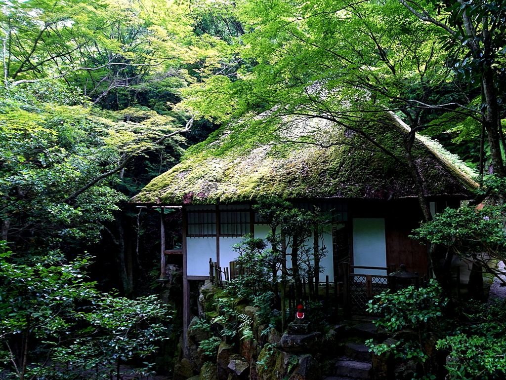 深緑の茶庵