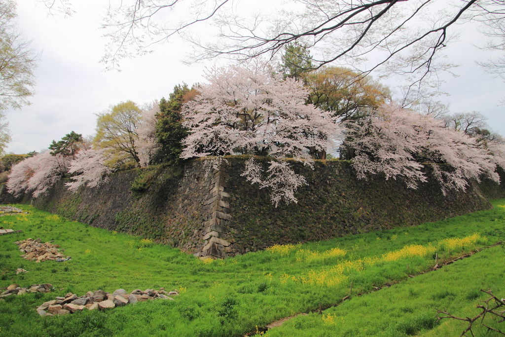 緑のお堀