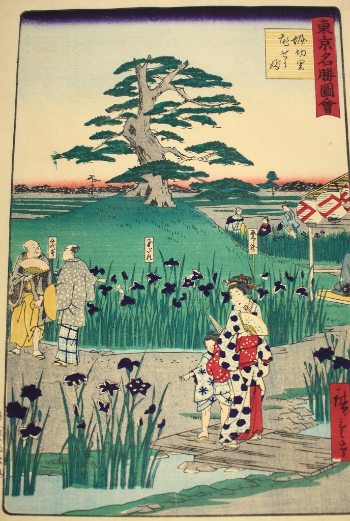 浮世絵　堀切菖蒲園