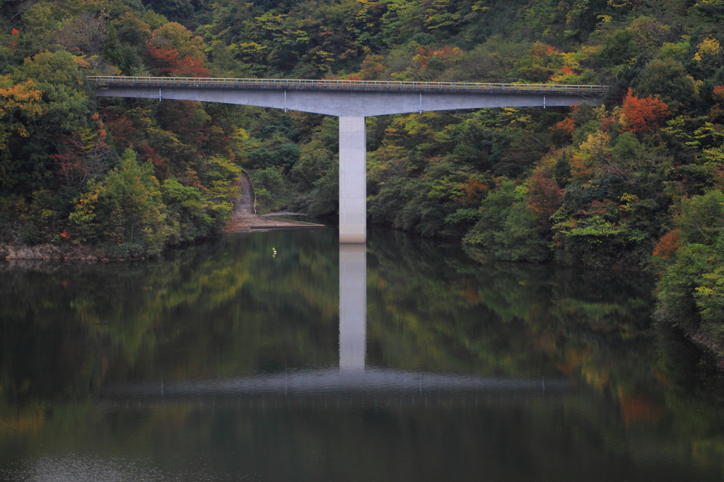 晩秋の脚