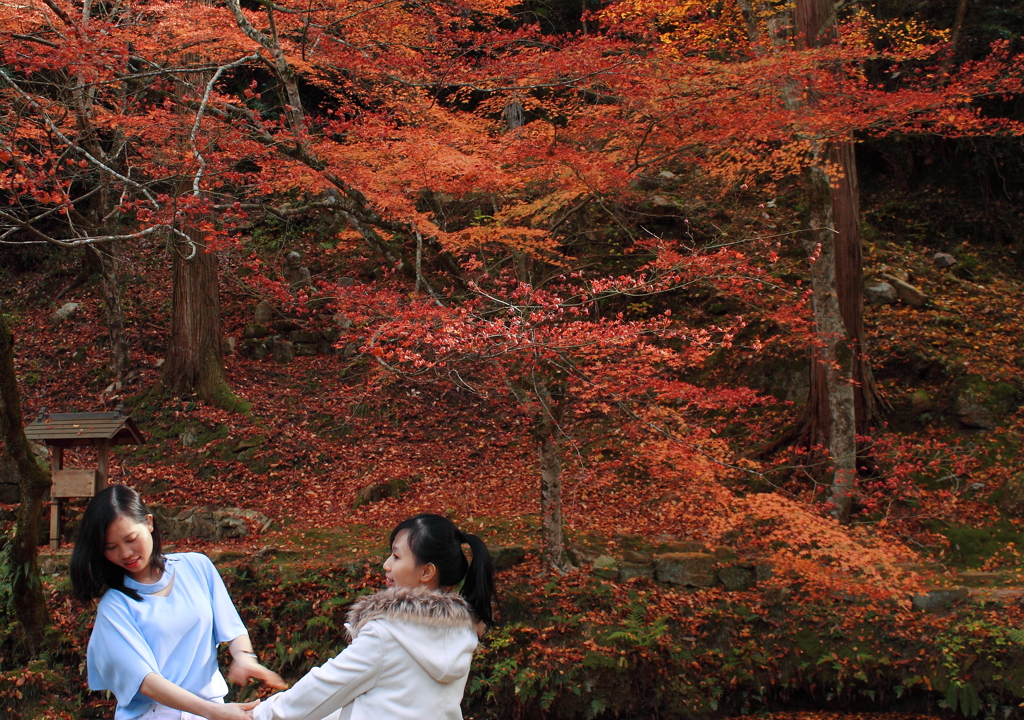 日本の秋を愉しんで♪