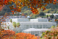 秋の植物公園