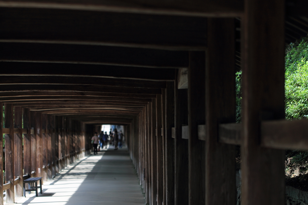 初夏の緑と廻廊