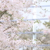 窓辺の二重唱