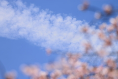 花の雲