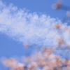 花の雲