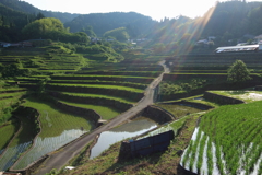 井仁の棚田